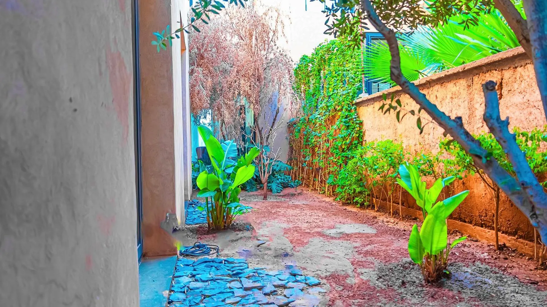 Luxury Flat - Pool - Gym - Oliver Palm Apartment Marrakesh